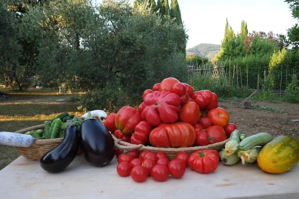 Holiday home Villa Appartment Parking With Garden Near The Sea Caniparola di Fosdinovo Italy